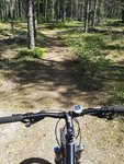 2014-06-09 11.45.30.jpg