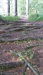 DSC_0145.JPG
