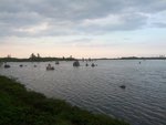 IMG_20140706_203049.jpg