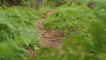 DSC07052.JPG