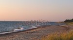 WP_20140709_05_04_46_Pro.jpg