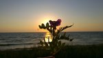 WP_20140709_04_58_22_Refocus.jpg