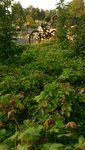 IMG_20140729_203857.JPG