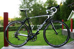 Domane_Campagnolo.jpg