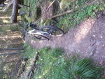 20140726_084518.jpg