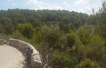 20140813_121456.jpg