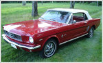 mustang.jpg