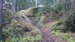 DSC_0025.JPG