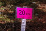 DSC_3203.JPG