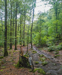 Bokedalen Boogie 01.jpg