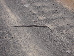 DSCN1842.JPG
