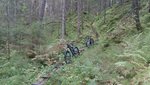 DSC_7250.JPG