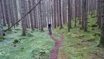 DSC_0229.JPG