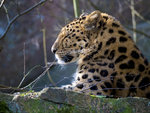_1050943b.jpg