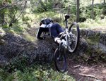 Då fälgen pajade.jpg