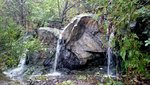 IMG_20140925_100129.JPG