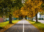 _1110909small.jpg
