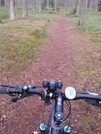 2014-11-23 13.12.48.jpg