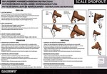 SCOTT_204648_2.jpg