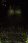 AXA-lampa ljusbild.jpg