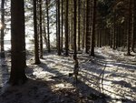 2014-12-27 11.06.52.jpg