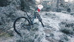 2014-12-29 02.40.25 1.jpg