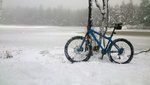 DSC_0936.jpg