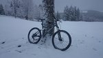 DSC_0461.JPG