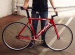 cervelo.jpg