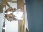 20150112_192528.jpg