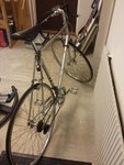 20141106_063914.jpg