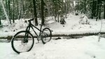 IMG_20150124_125708.jpg