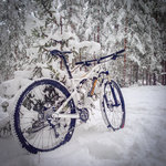 bike2 (3 av 4).JPG