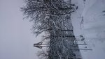 DSC_0654.JPG