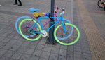 DSC_0699.JPG