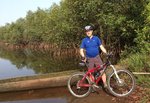 mangrove.jpg