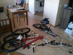 IMG_20150208_105034.jpg