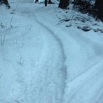 högbosingletrack.jpg