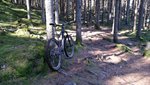20150313_124055.jpg