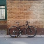 surly_20150316.jpg