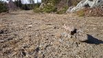 DSC_0028.JPG