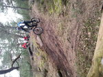 20150328_110445.jpg