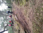 20150328_110357.jpg