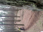 20150328_105547.jpg
