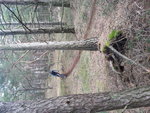 20150328_102037.jpg