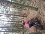 20150328_101849.jpg