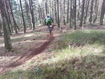 20150328_101817.jpg
