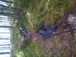 IMG_20150328_124703.jpg