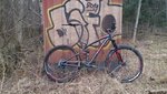 DSC_0210.JPG