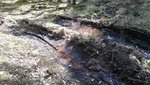 2015-04-13 13.48.47.jpg